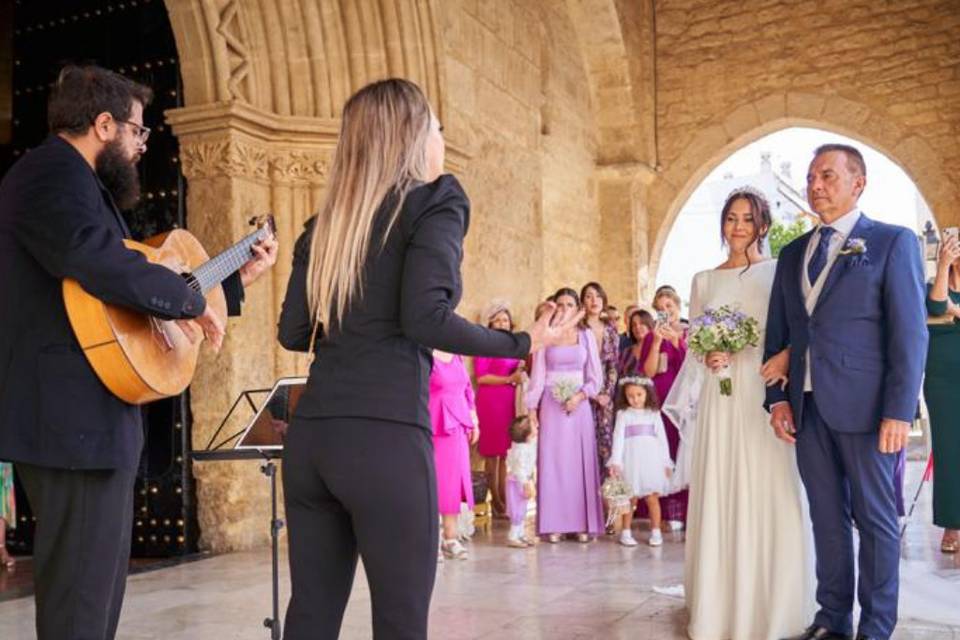 Guitarra flamenca