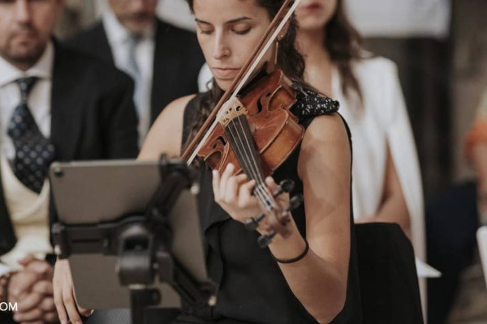 Violín