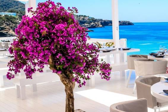 Decoraciones exclusivas
