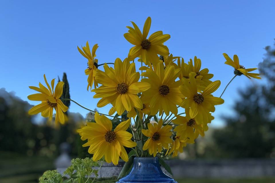 Entre Flores