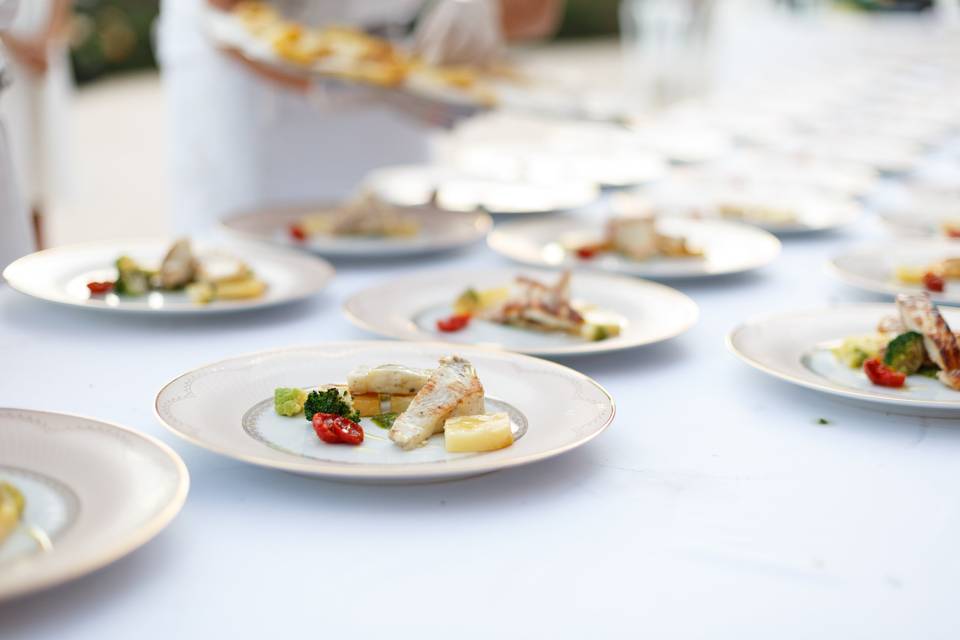 Platos