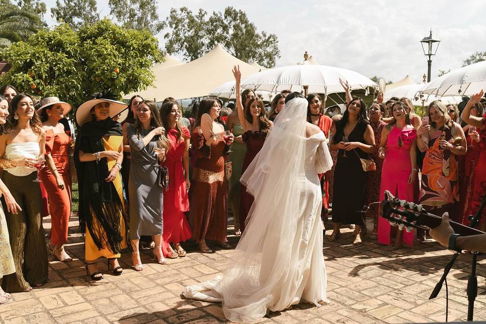 Novias