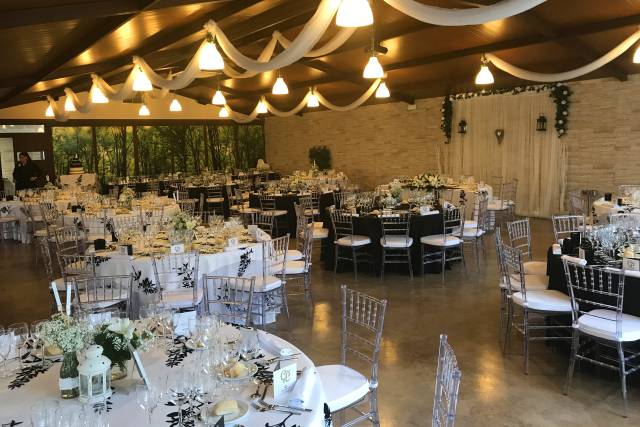 Colores blanco y negro