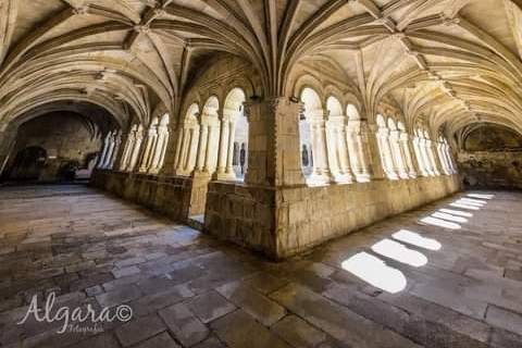 Claustro