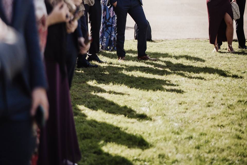 Invitados