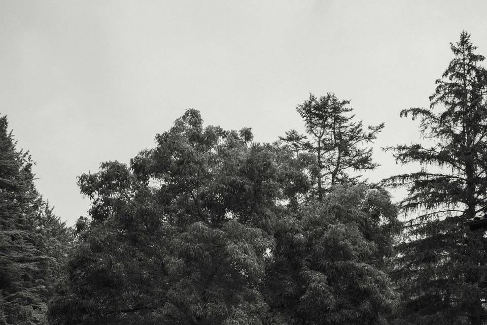 Recuerdos naturales