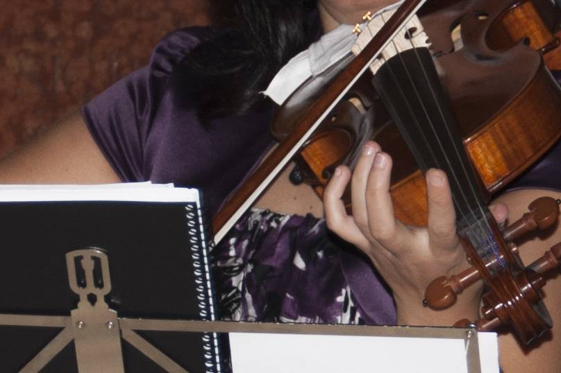 Violín