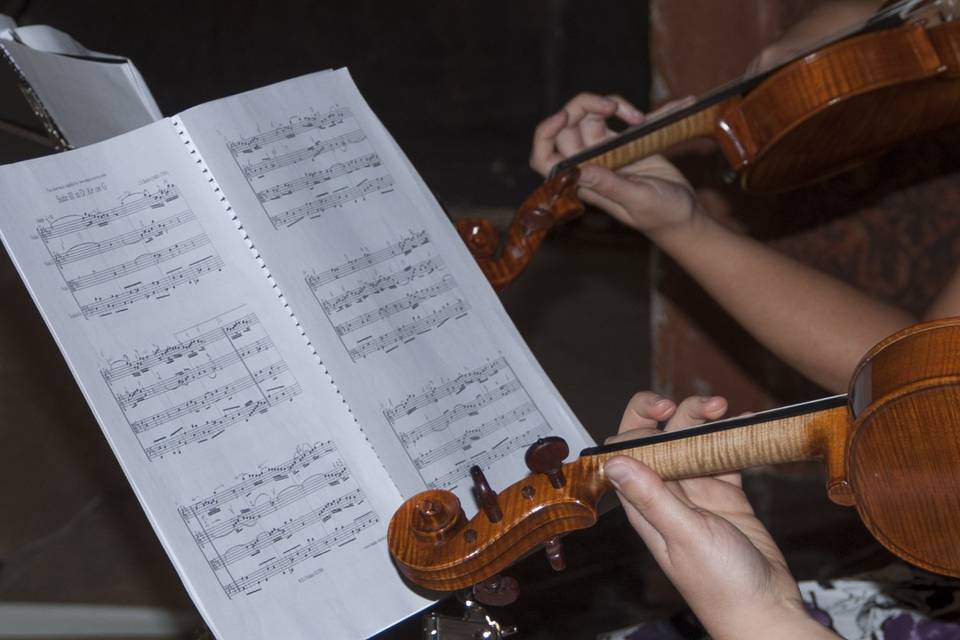 Violines tocando