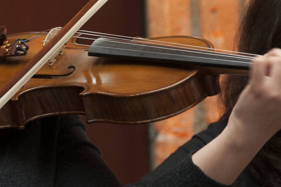 Violín tocando