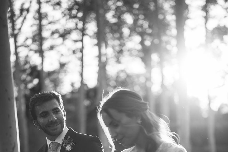 BODA PATRI & EDU