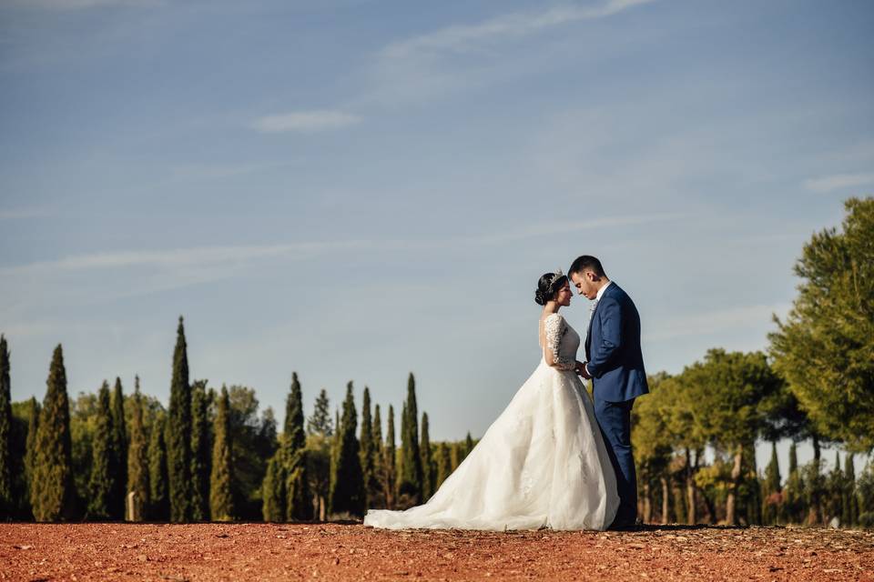 Dibianco Wedding