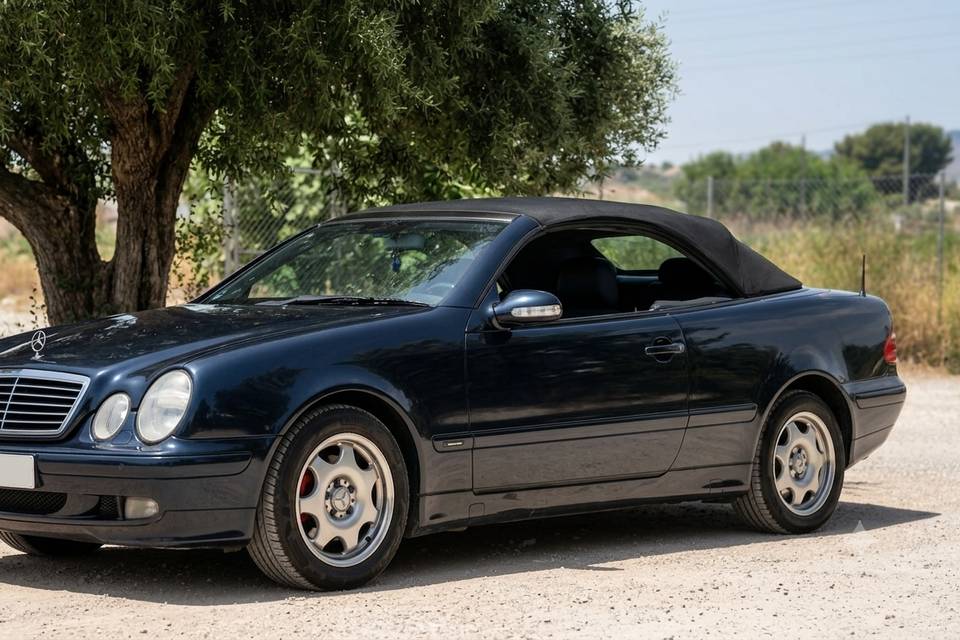 Mercedes Benz