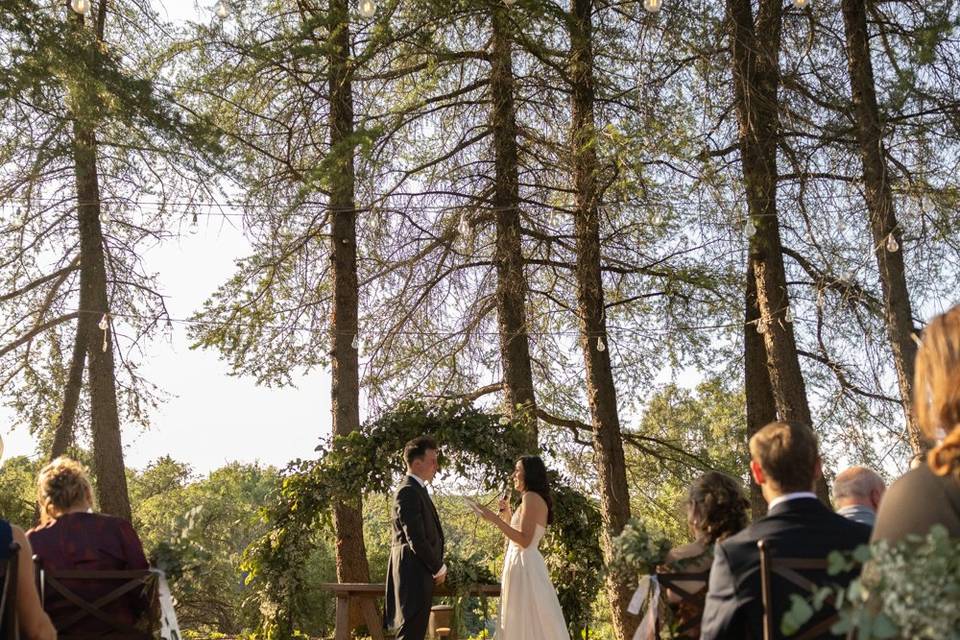 Klads weddings