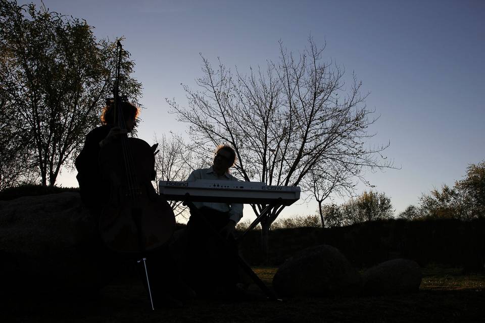 Al aire libre