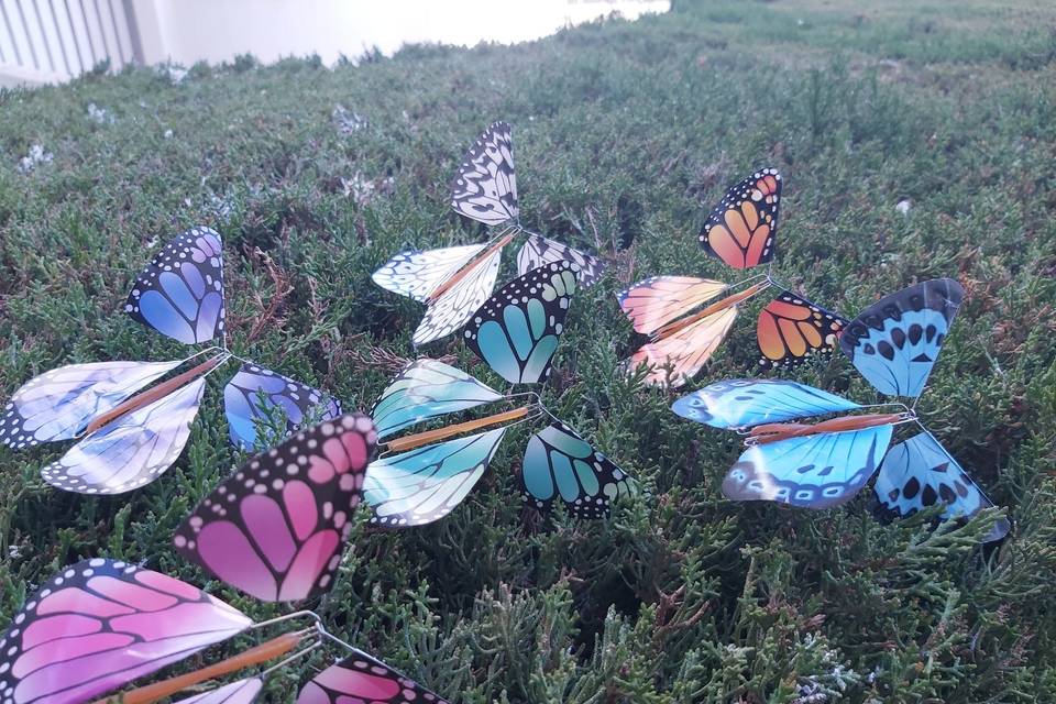 Mariposas Mágicas Ecológicas