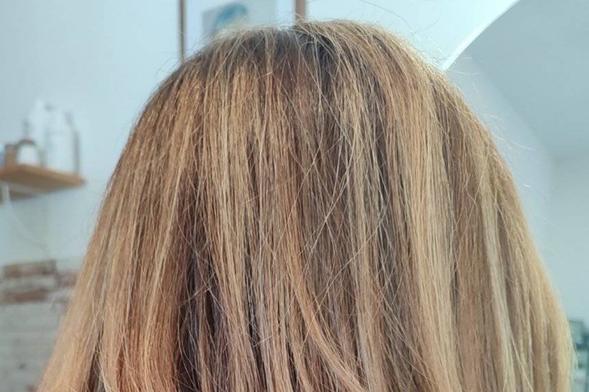 Nueva Savia