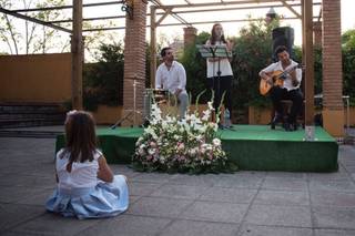 Flamenco Konfusión