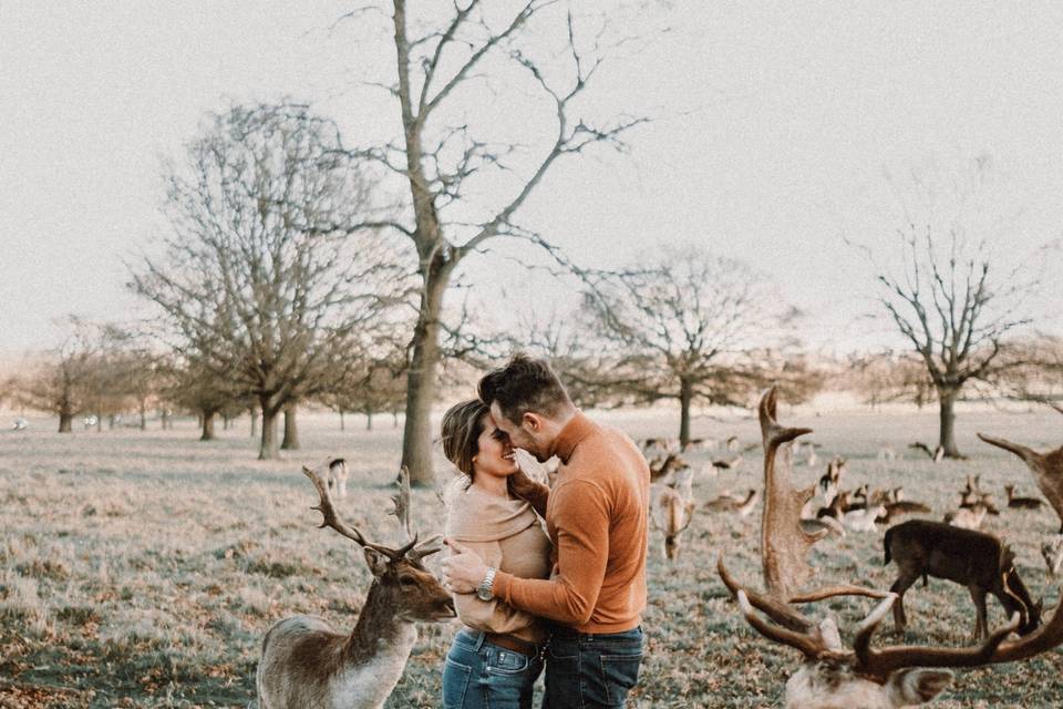 Preboda en Londres