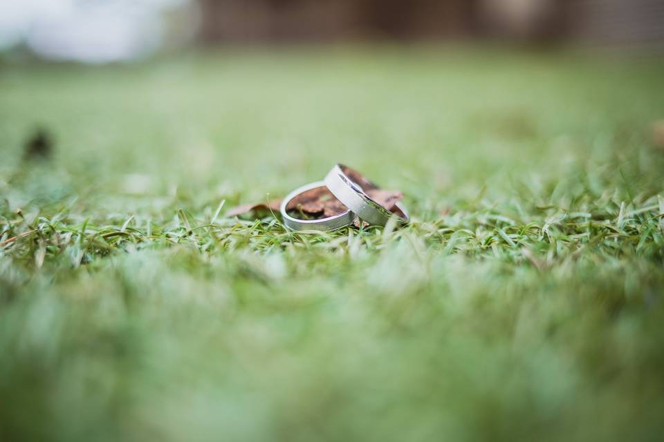 Anillos de los novios