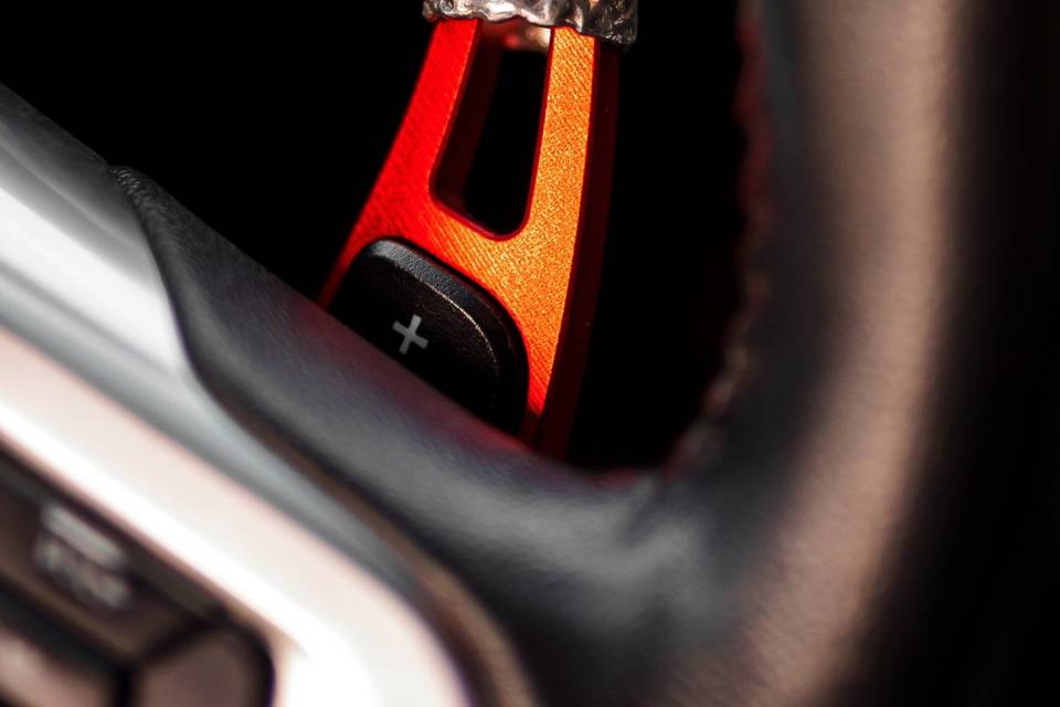 Un Mustang para un día único