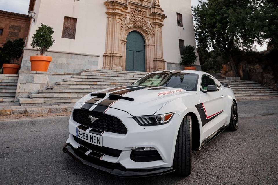 Un Mustang para un día único