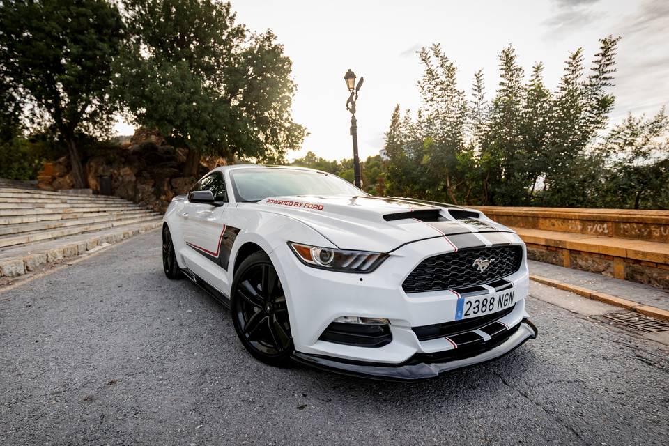 Un Mustang para un día único
