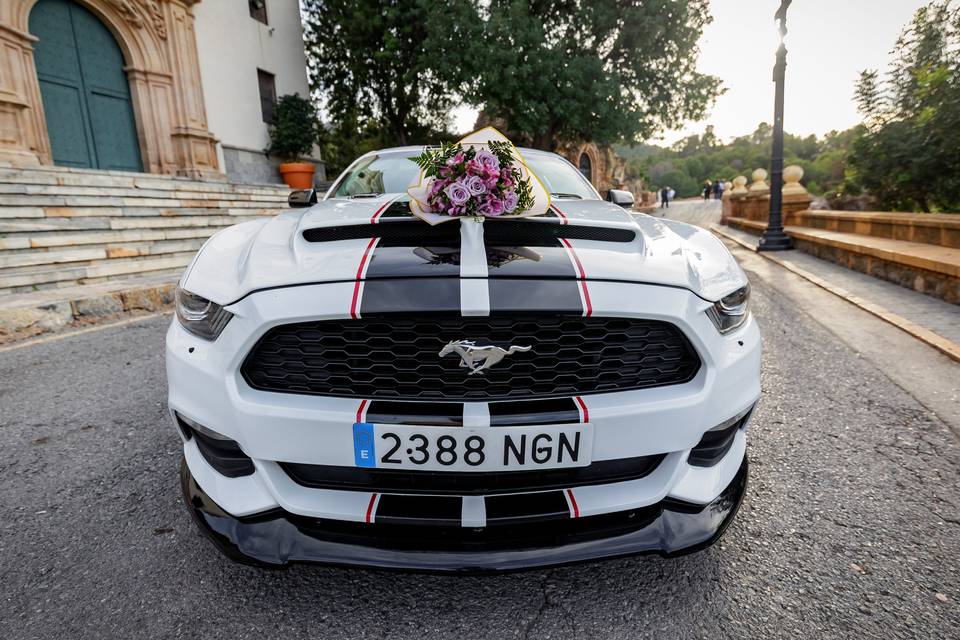 Un Mustang para un día único