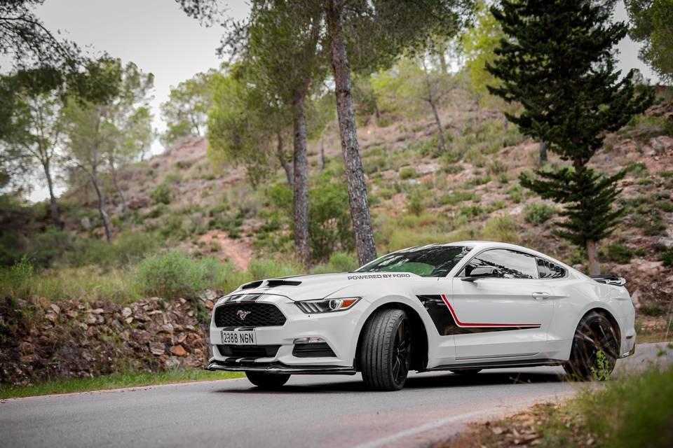 Un Mustang para un día único