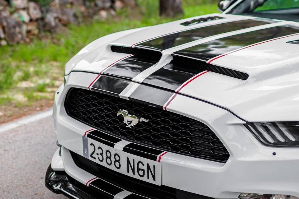 Un Mustang para un día único