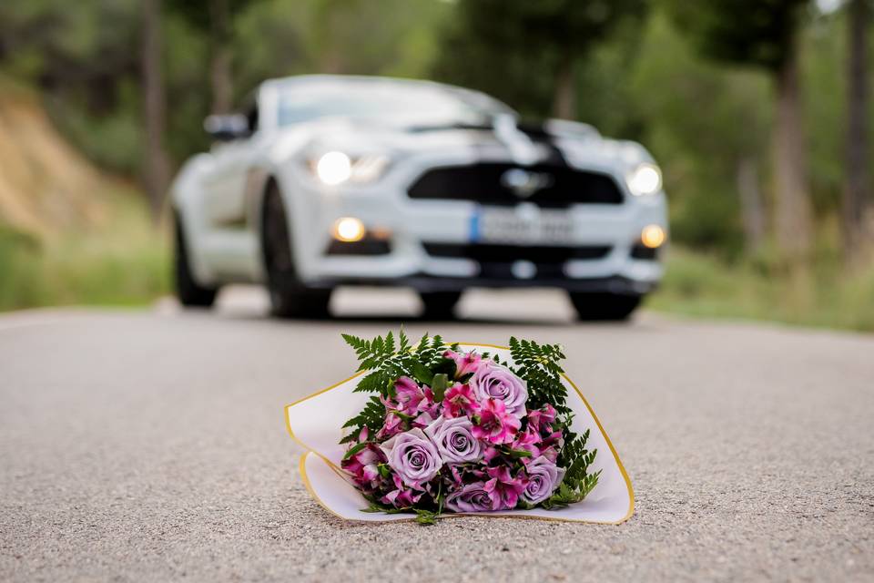 Un Mustang para un día único
