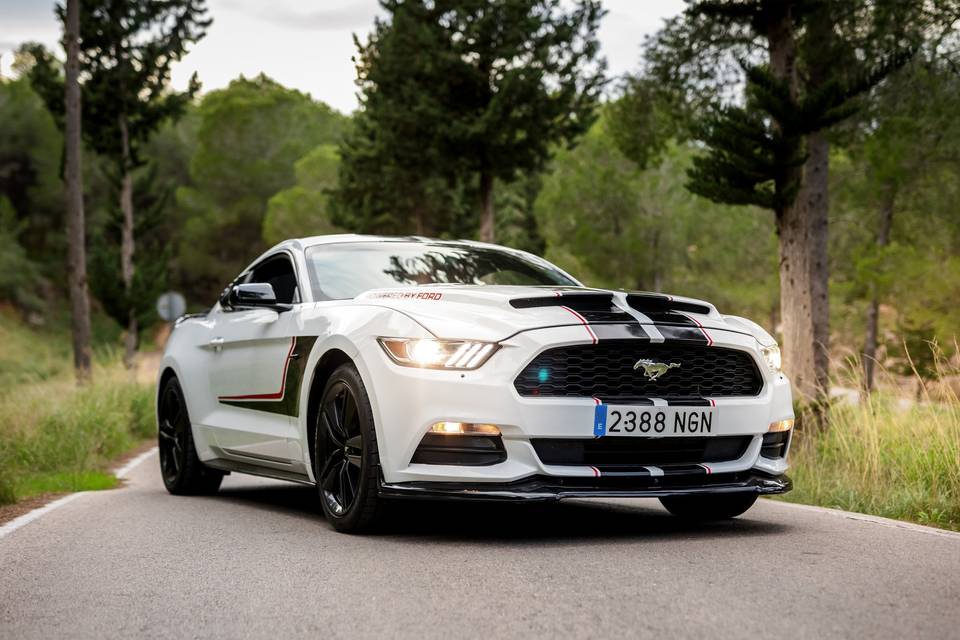 Un Mustang para un día único
