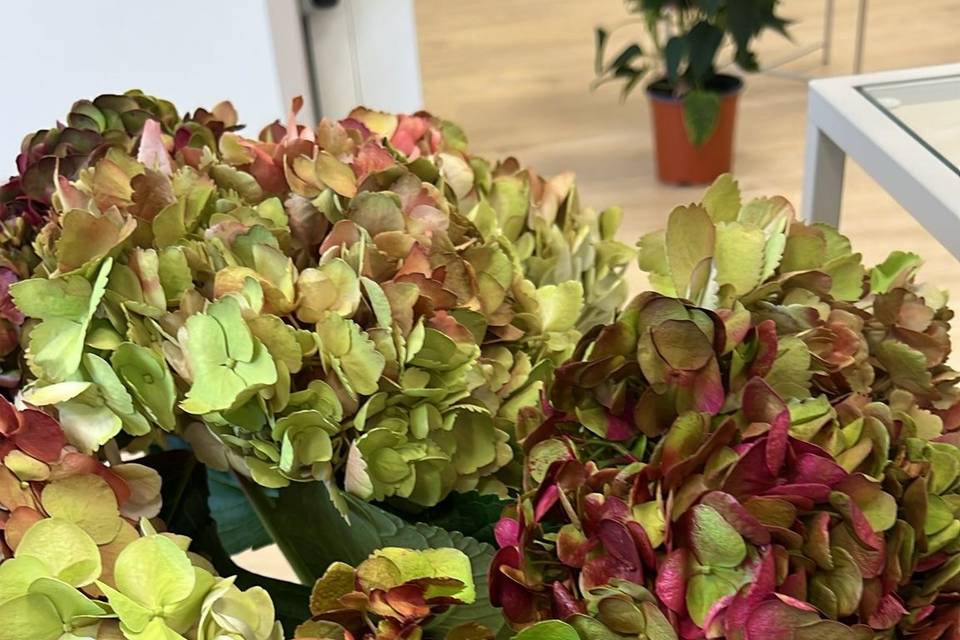 Nuestras flores