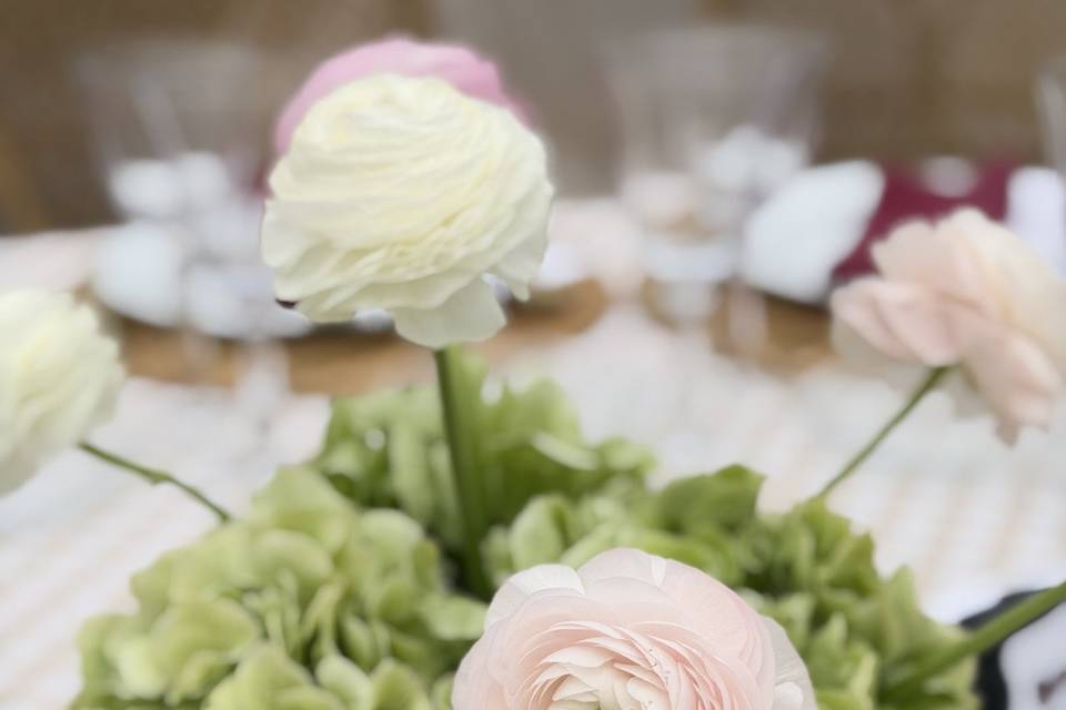 Boda