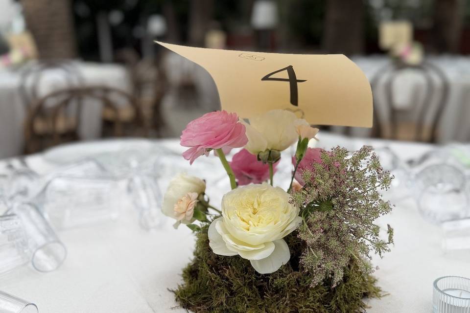 Boda