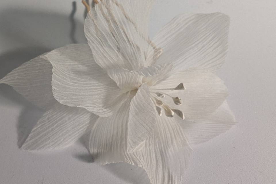 Flor de bambula de seda