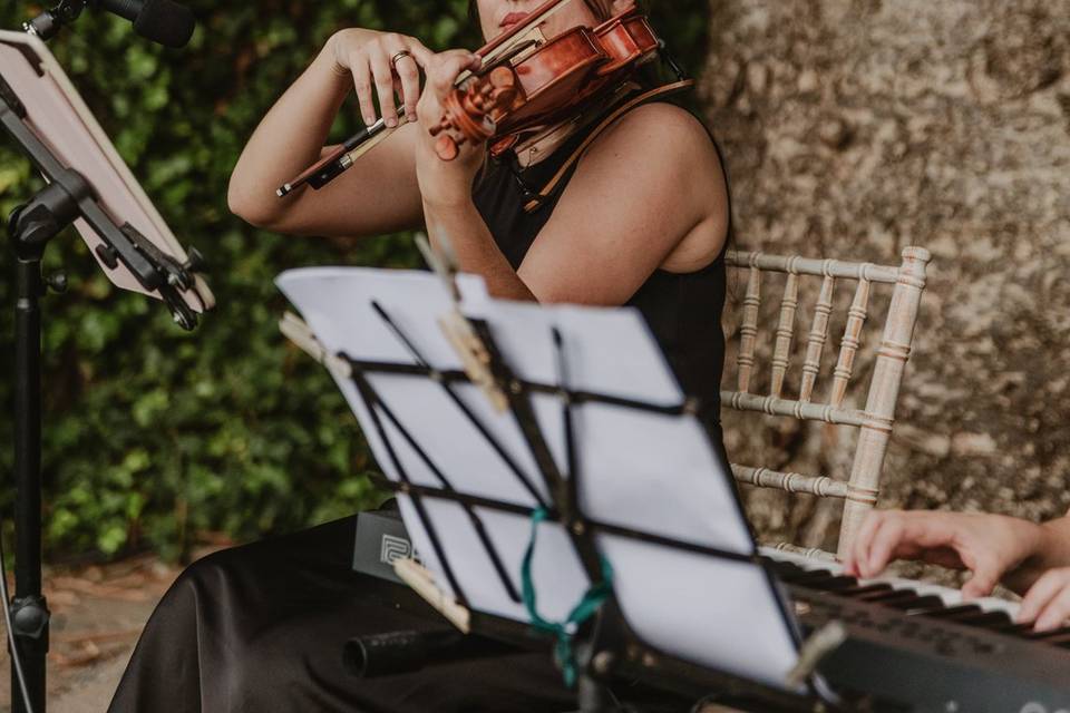 Violinista