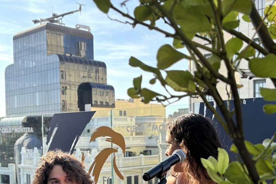 Hotel Montera