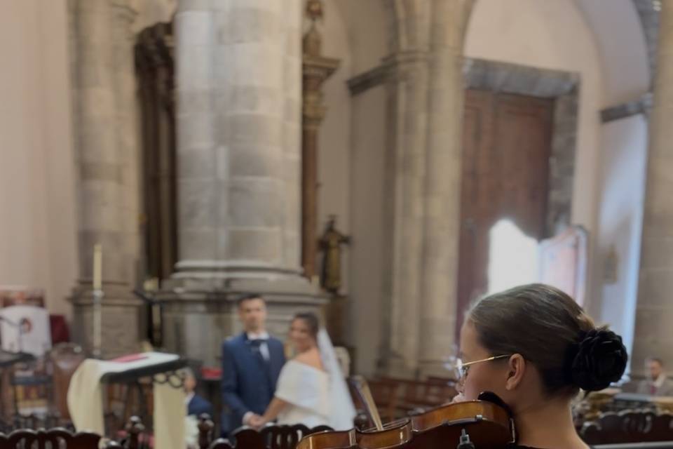 Violinista