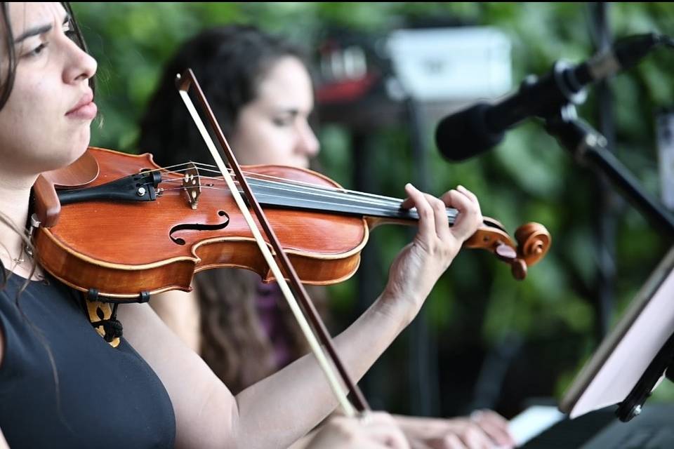 Violinista