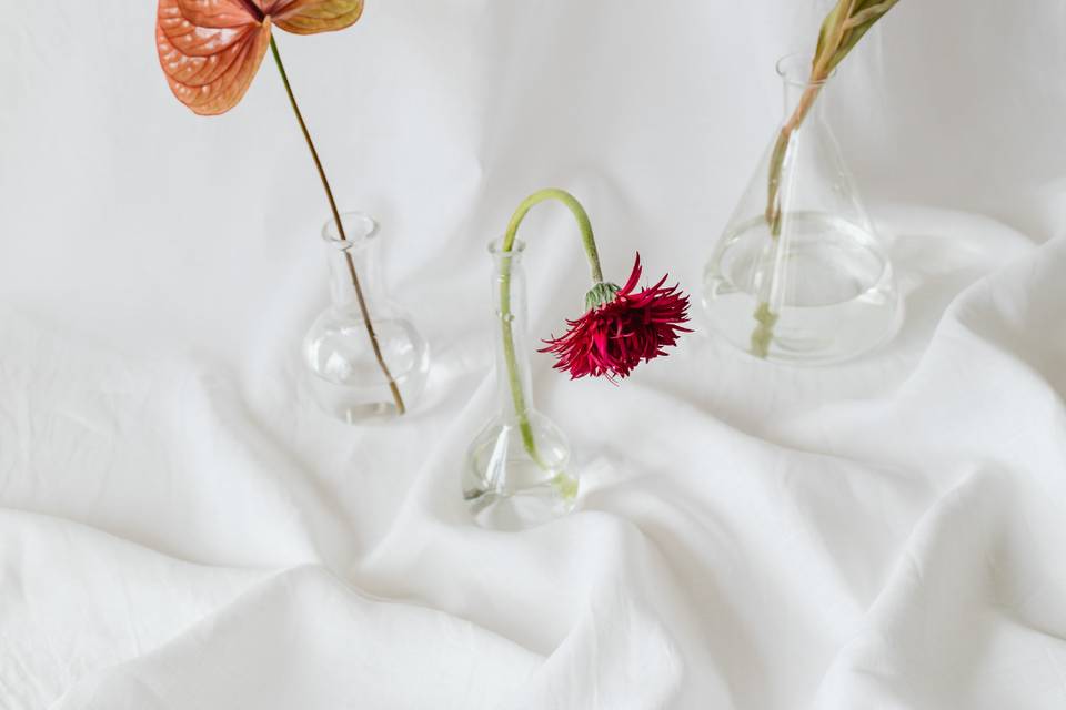 Detalles