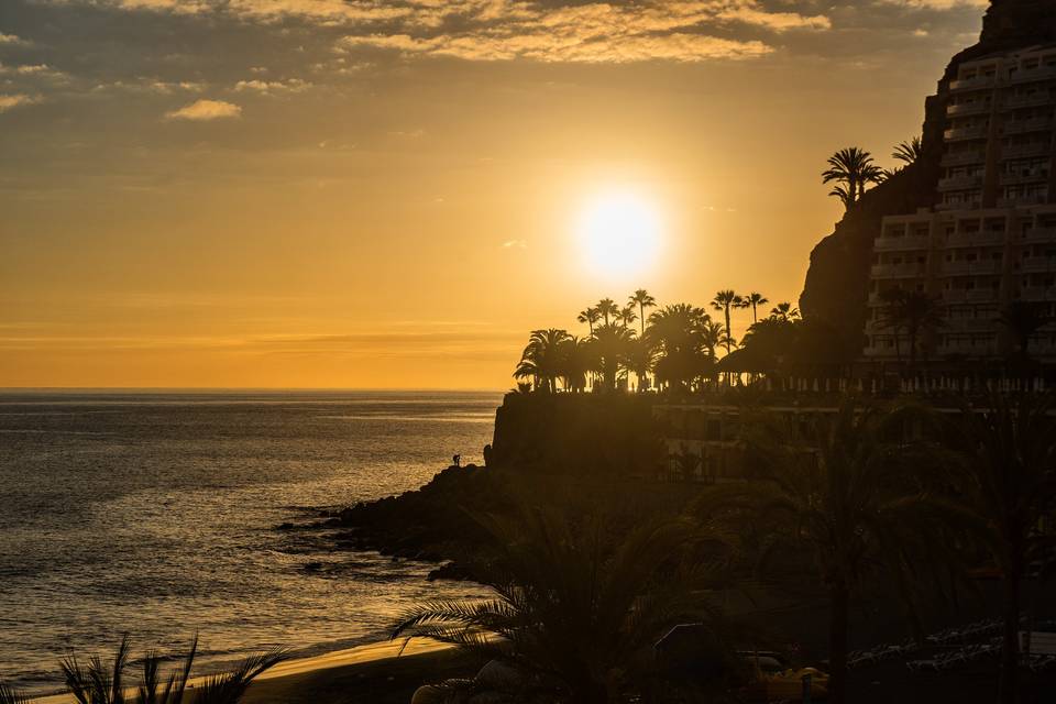 Jardines al atardecer