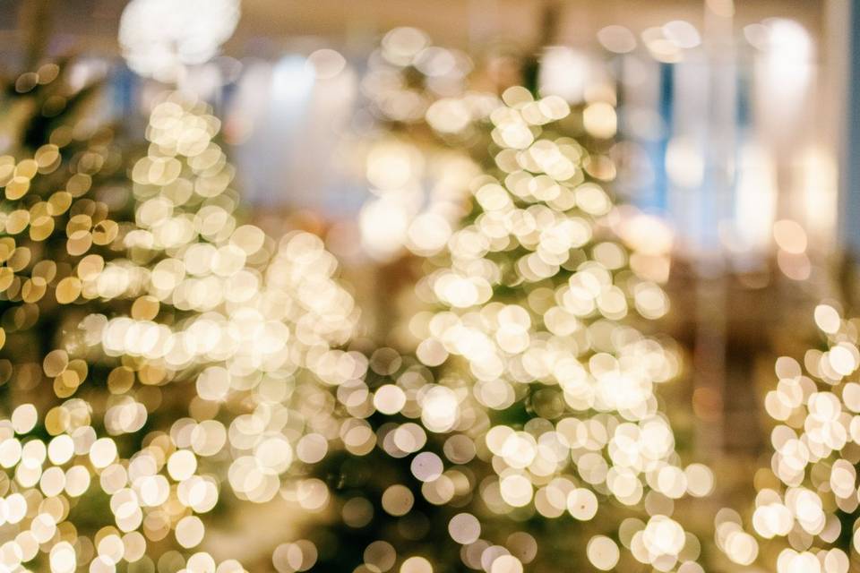 Navidad Mágica