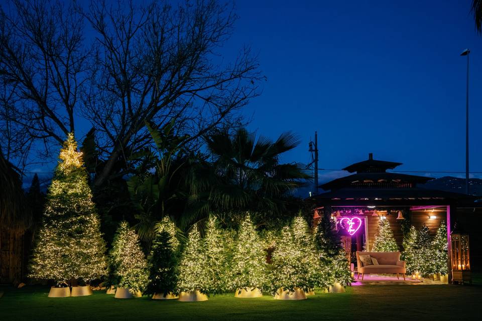 Navidad Mágica