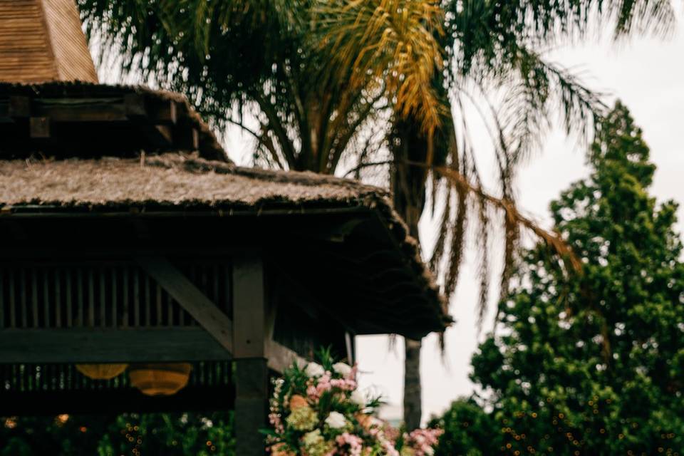 Especial Primavera Verano