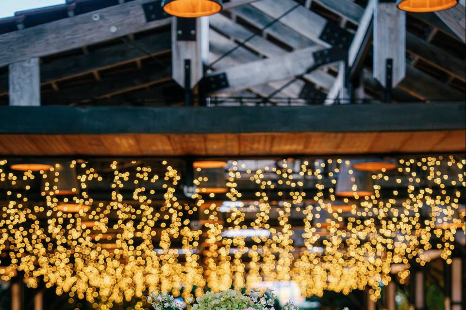 Primavera Verano