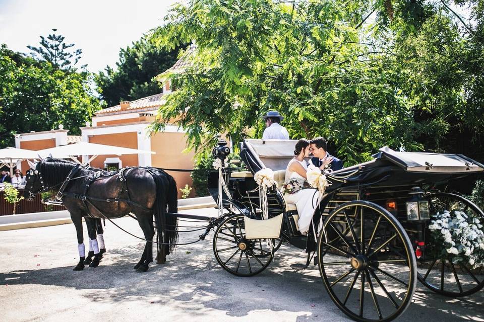 Coche de caballos