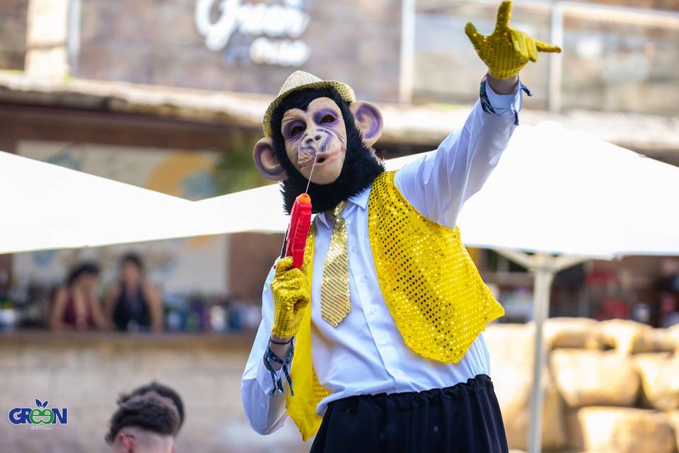 MONKEY MAFIA