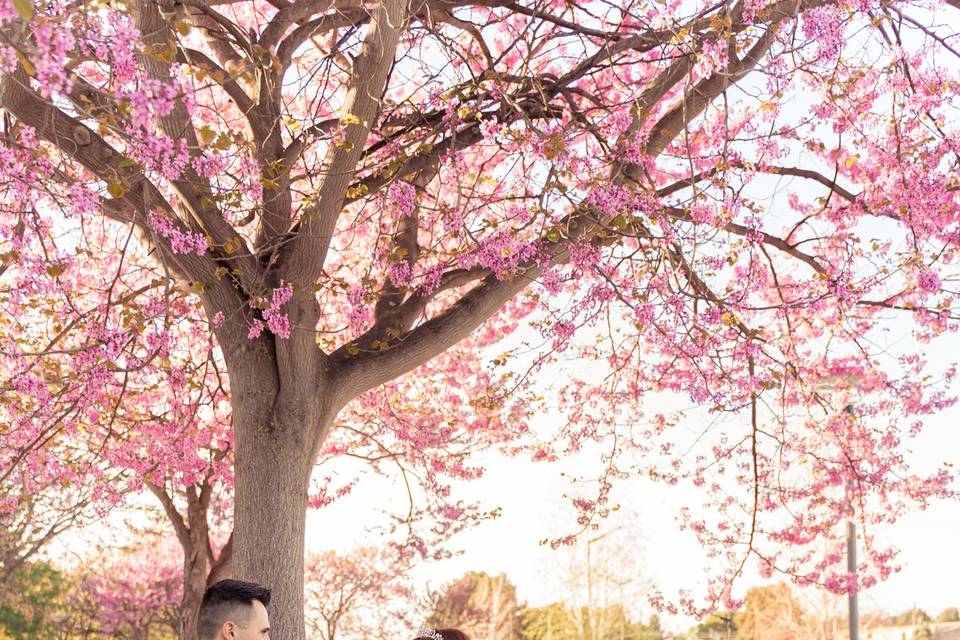 Fotografía y vídeo Cristina Losa