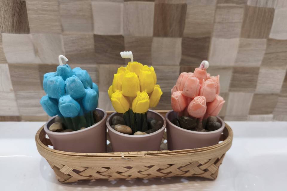 Preciosos ramos  de tulipanes.