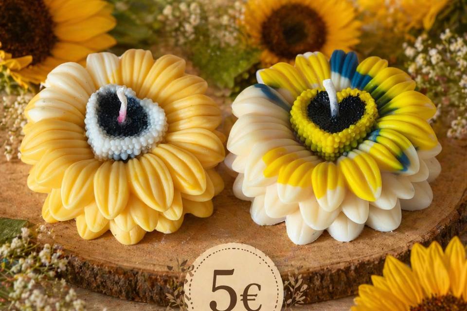 Bonitos girasoles que atención